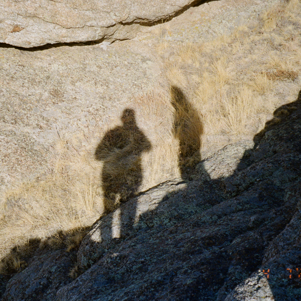 The Head Consuming the Tail, an essay by Ashley Castorena